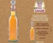 Galvanina Bio Ginger Ml 355