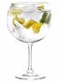 6 Calici Gin & Co Premium
